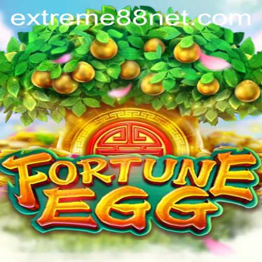 Discover the Dynamic World of FortuneEgg